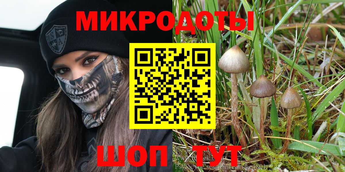 Галлюциногенные грибы Cubensis  Вход с VPN  Отрадное 